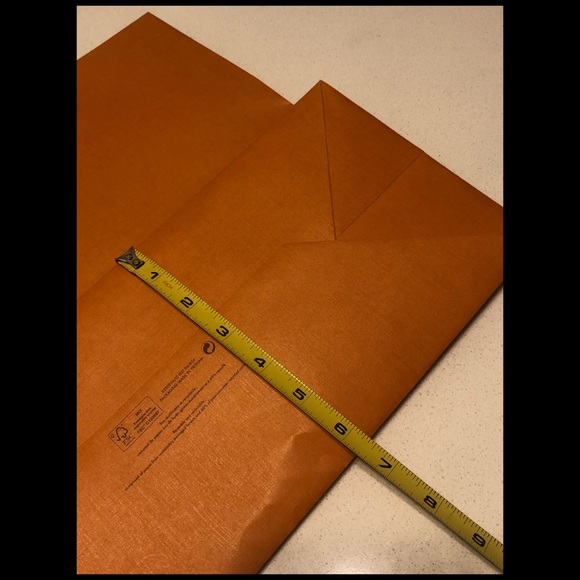 Authentic Louis Vuitton Paper Bag - Picture 4 of 6